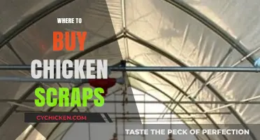 Best Places to Buy Chicken Scraps for Homemade Broth and Pet Food