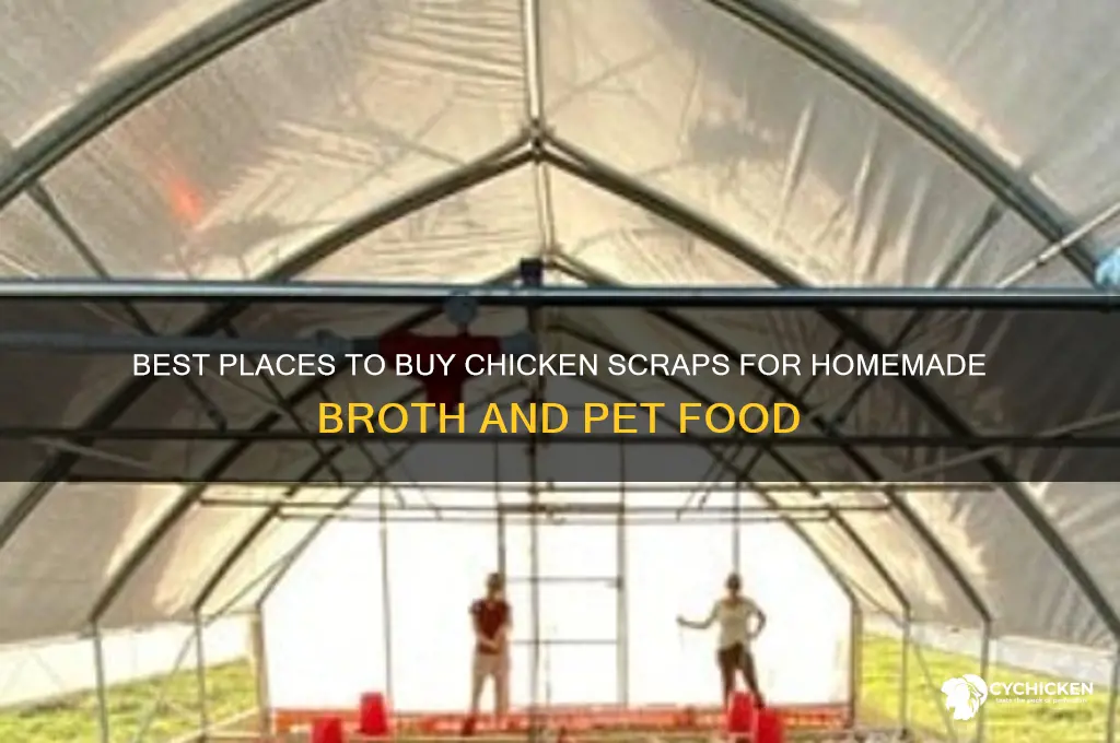 where to buy chicken scraps