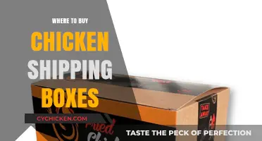 Best Places to Purchase Chicken Shipping Boxes for Safe Delivery