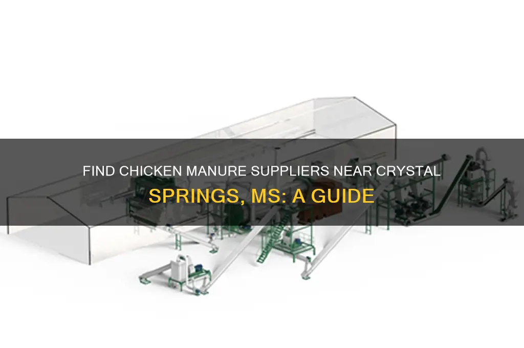 where to buy chicken shit near crystal springs ms
