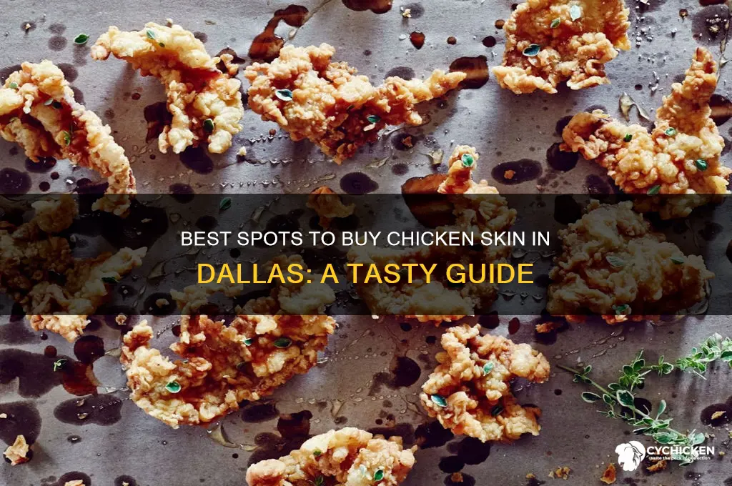 where to buy chicken skin dallas