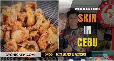 Cebu's Best Spots to Buy Crispy Chicken Skin Delicacies