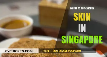 Best Spots to Buy Crispy Chicken Skin in Singapore