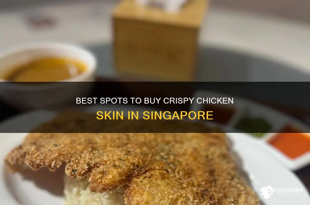where to buy chicken skin in singapore