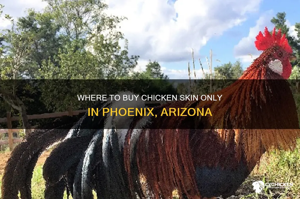 where to buy chicken skin only phoenix arizona