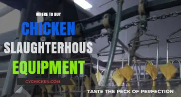 Essential Guide: Where to Purchase Chicken Slaughterhouse Equipment
