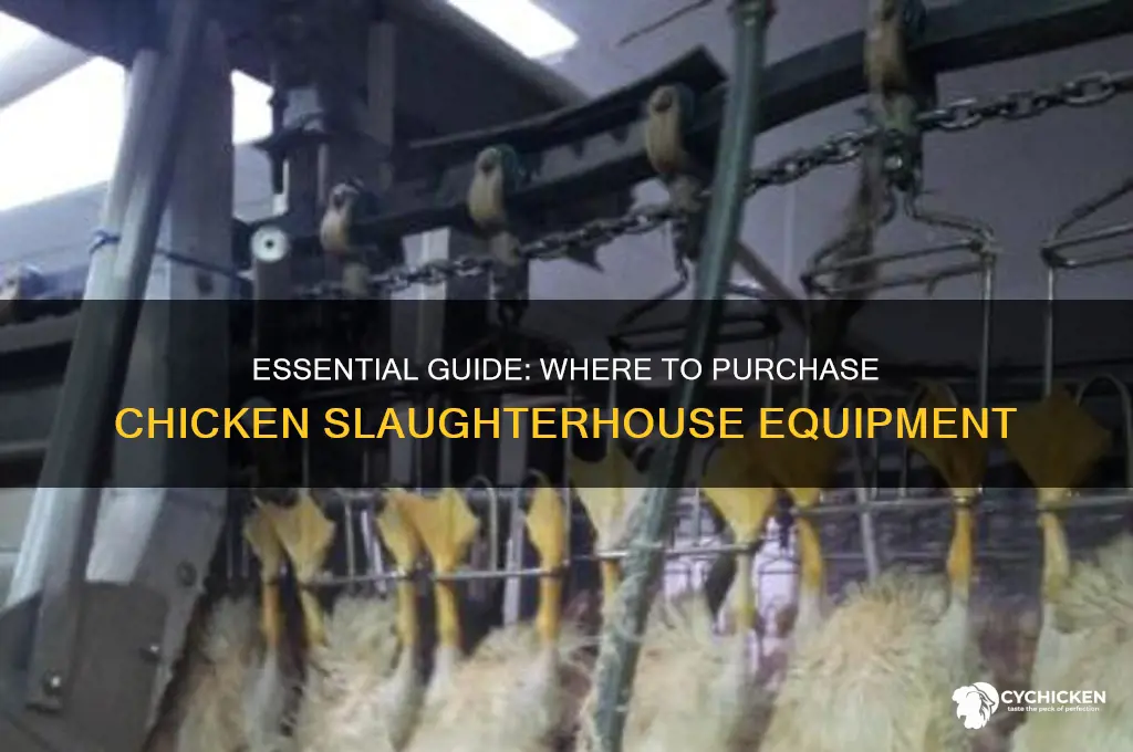 where to buy chicken slaughterhouse equipment