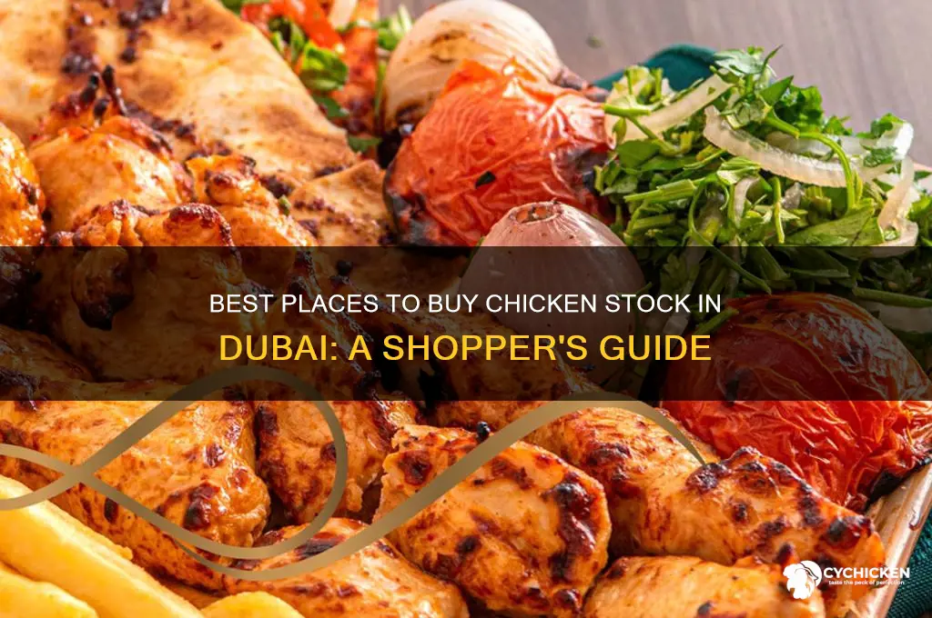 where to buy chicken stock in dubai