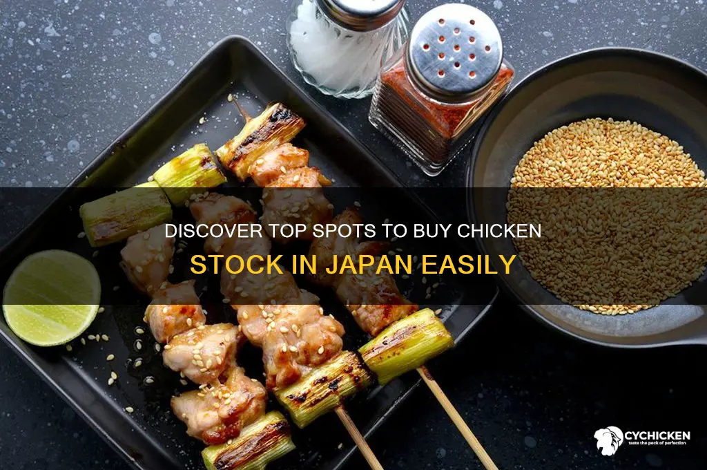 where to buy chicken stock in japan