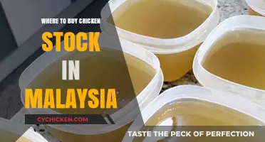 Best Places to Buy Chicken Stock in Malaysia: A Shopper's Guide