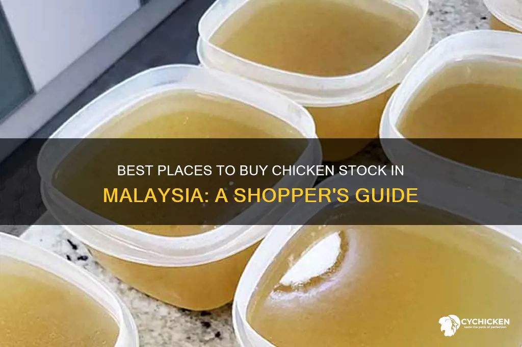 where to buy chicken stock in malaysia