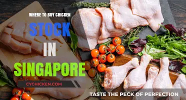 Best Places to Buy Chicken Stock in Singapore: A Shopper's Guide