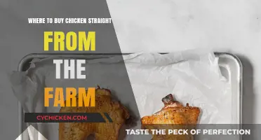 Fresh Farm Chicken: Top Local Sources for Direct Purchases