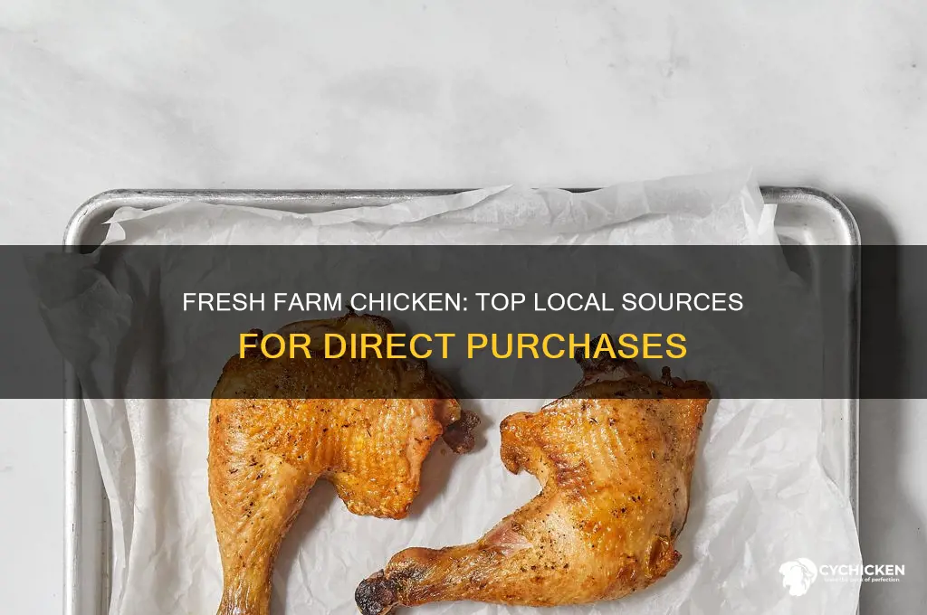 where to buy chicken straight from the farm