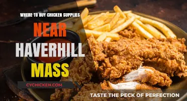 Best Chicken Supplies Stores Near Haverhill, Massachusetts: A Local Guide