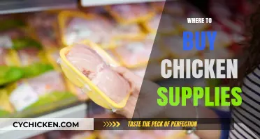 Essential Chicken Supplies: Top Stores for Happy, Healthy Flock Care