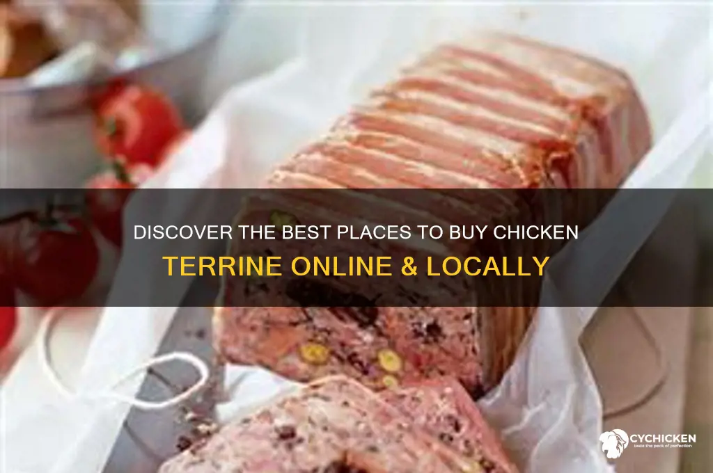 where to buy chicken terrine
