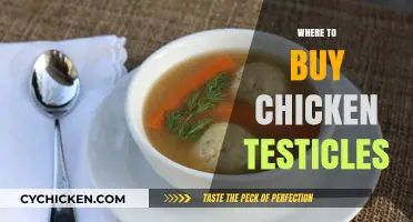Where to Buy Chicken Testicles: A Comprehensive Guide to Sources