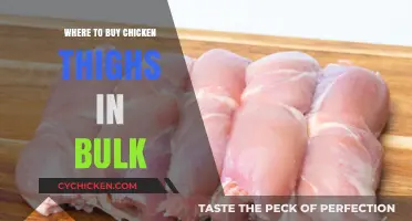 Best Places to Buy Chicken Thighs in Bulk for Savings