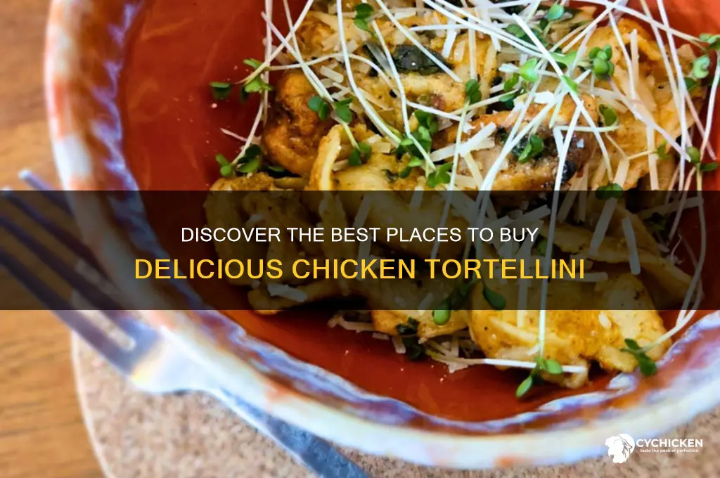 where to buy chicken tortellini