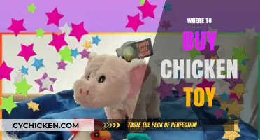 Best Places to Buy Fun Chicken Toys for Your Pets