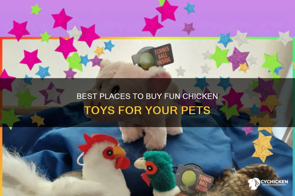 where to buy chicken toy