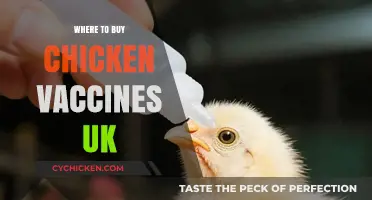 Where to Buy Chicken Vaccines in the UK: A Comprehensive Guide