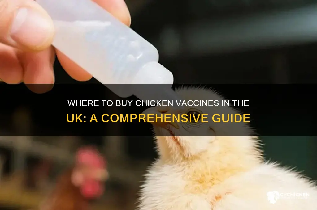 where to buy chicken vaccines uk