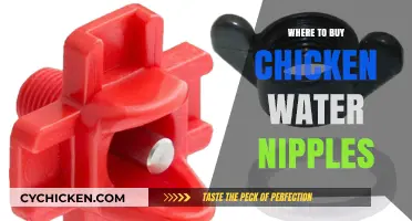 Best Places to Buy Chicken Water Nipples for Your Coop