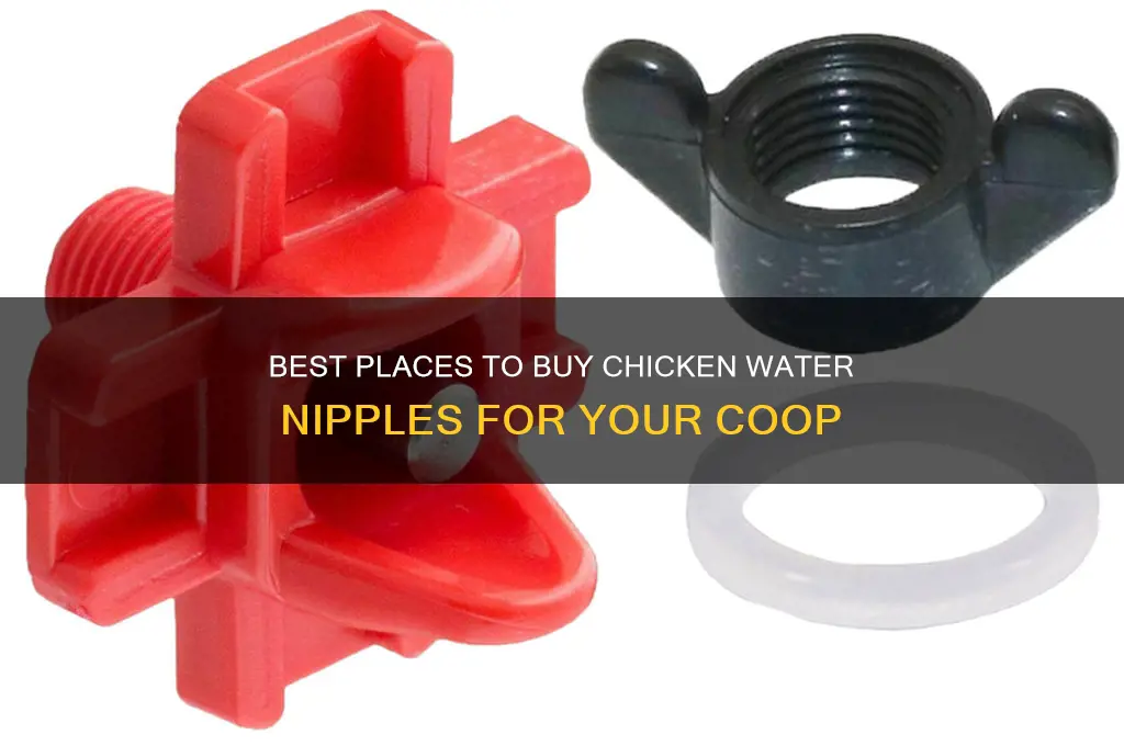 where to buy chicken water nipples