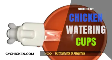 Best Places to Buy Chicken Watering Cups for Your Flock