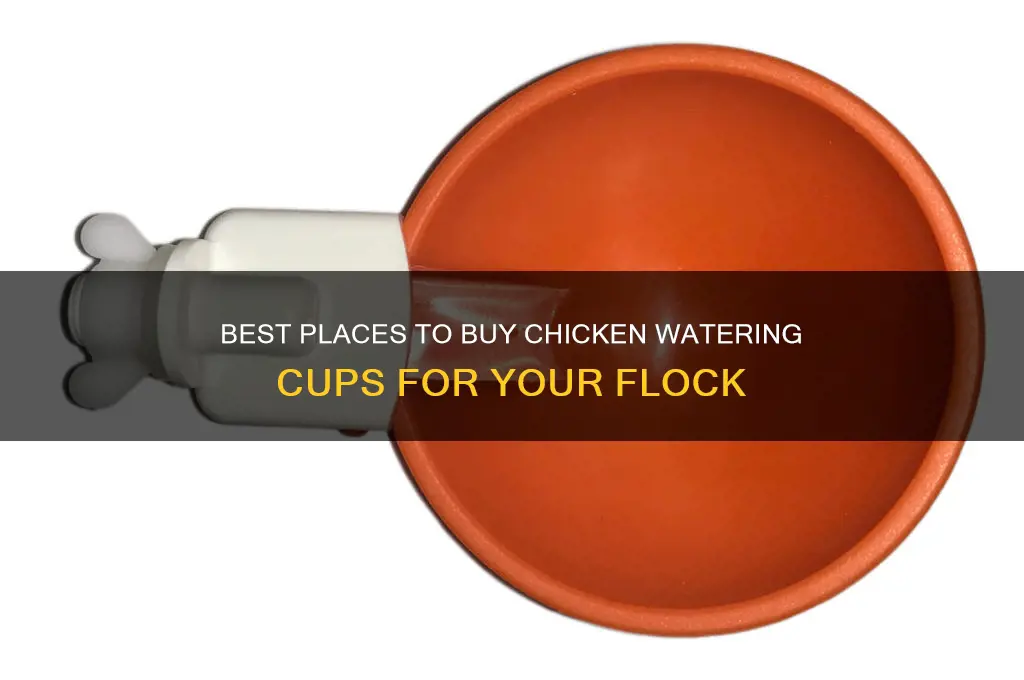 where to buy chicken watering cups