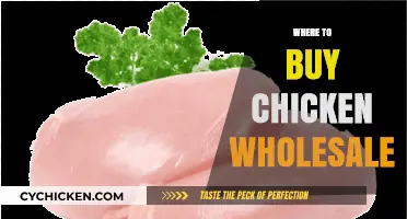 Top Wholesale Chicken Suppliers: Where to Buy in Bulk
