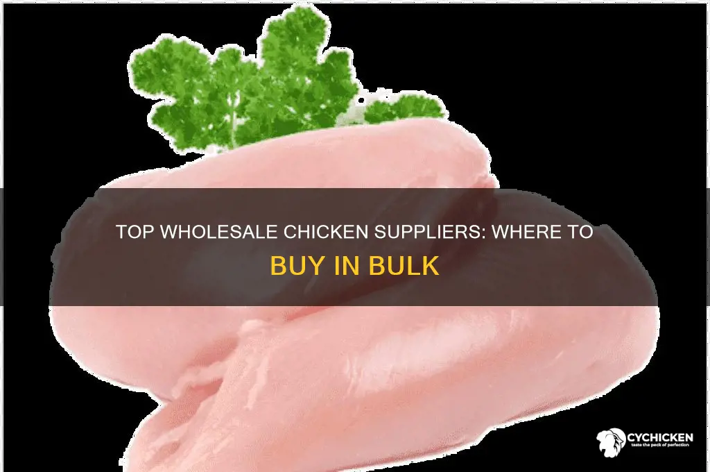 where to buy chicken wholesale