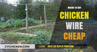 Affordable Chicken Wire: Top Places to Buy at Discount Prices