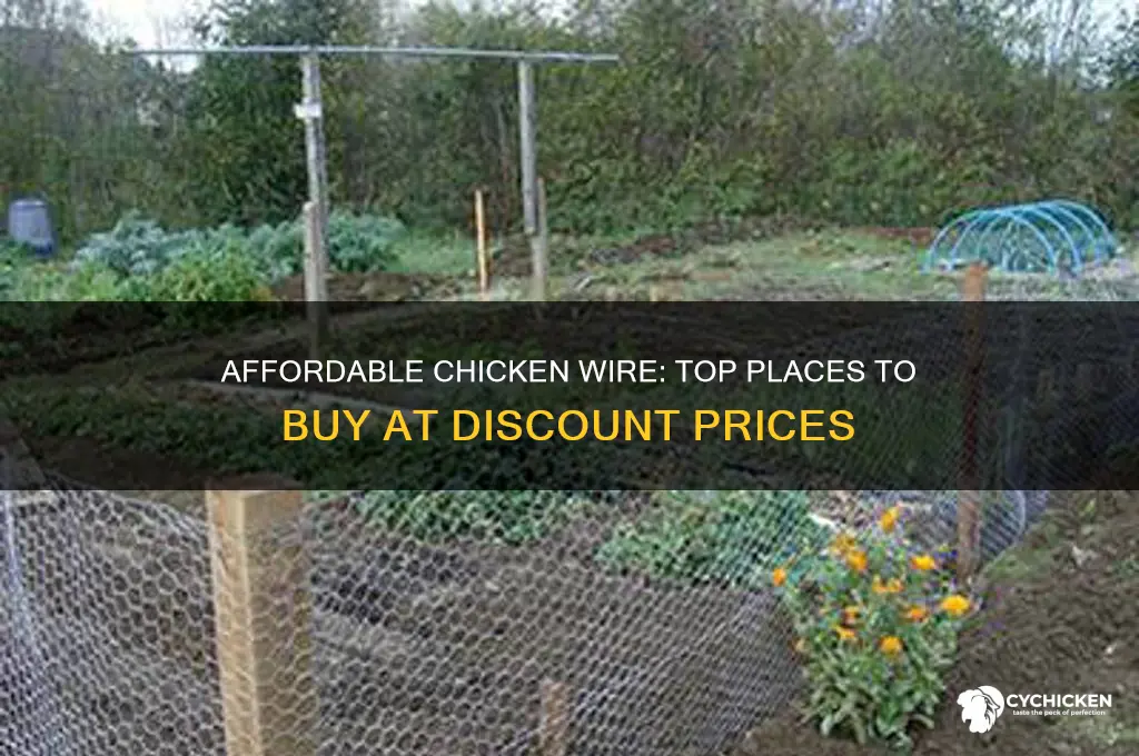 where to buy chicken wire cheap