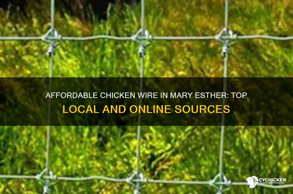 where to buy chicken wire economically in mary esther