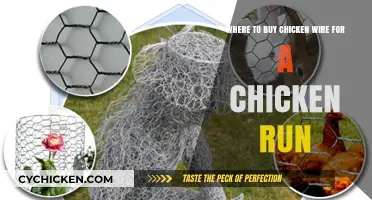 Best Places to Buy Chicken Wire for Your Chicken Run