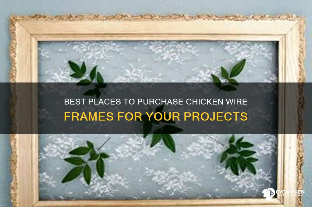 where to buy chicken wire frame