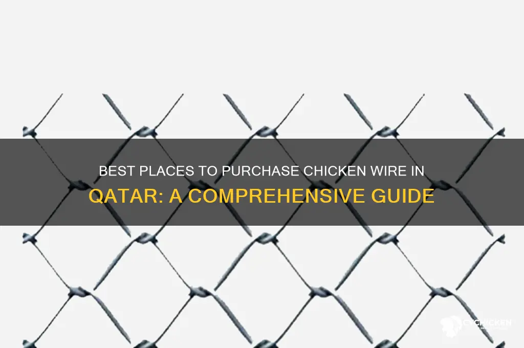 where to buy chicken wire in qatar