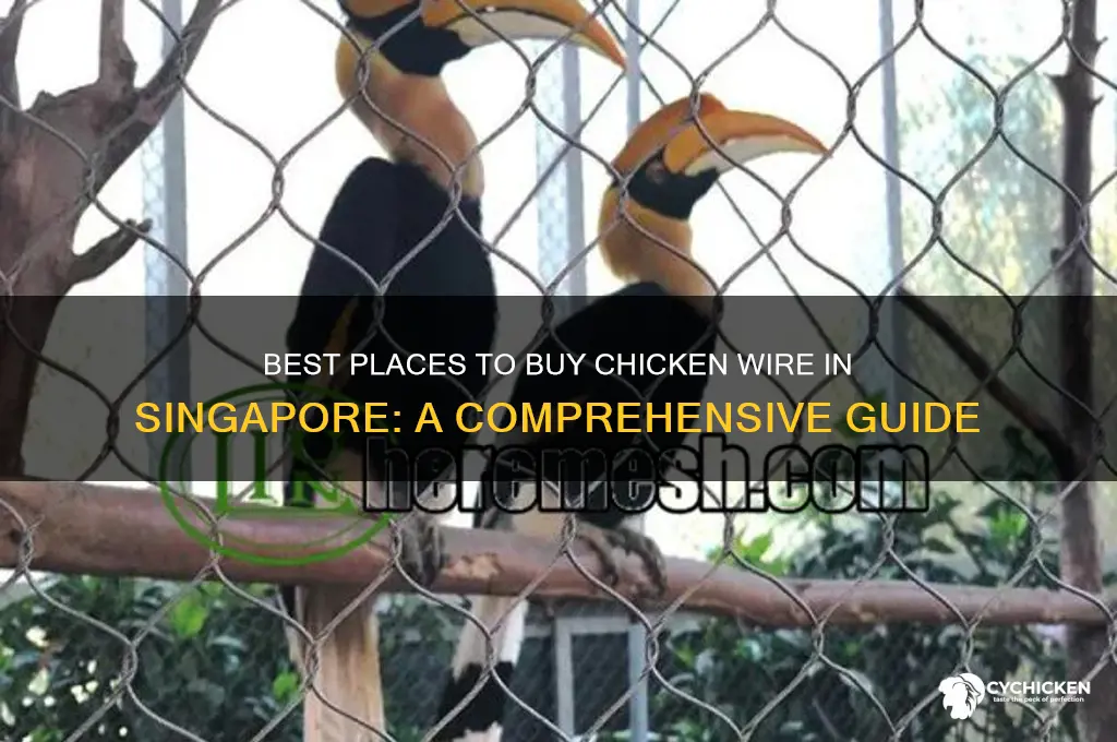 where to buy chicken wire in singapore