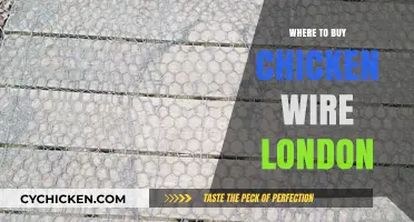 Where to Buy Chicken Wire in London: Top Suppliers Guide