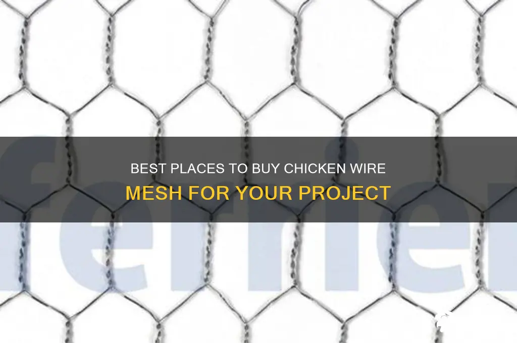 where to buy chicken wire mesh