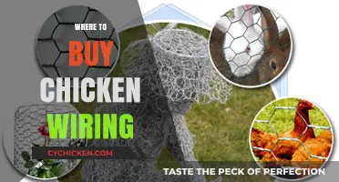Best Places to Purchase Durable Chicken Wire for Your Coop