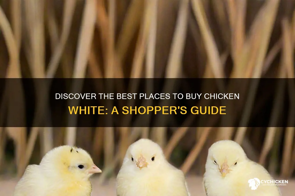 where to buy chicken wite