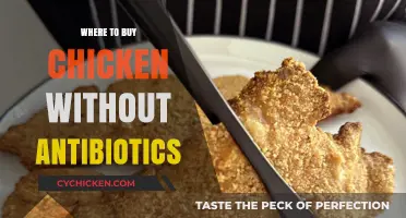 Finding Antibiotic-Free Chicken: Top Sources for Healthy Poultry Options