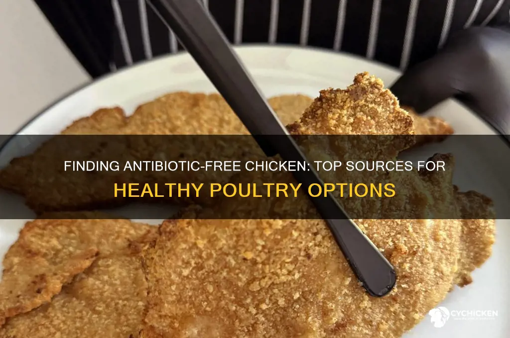 where to buy chicken without antibiotics