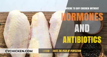Clean Eating: Where to Find Hormone-Free, Antibiotic-Free Chicken Options