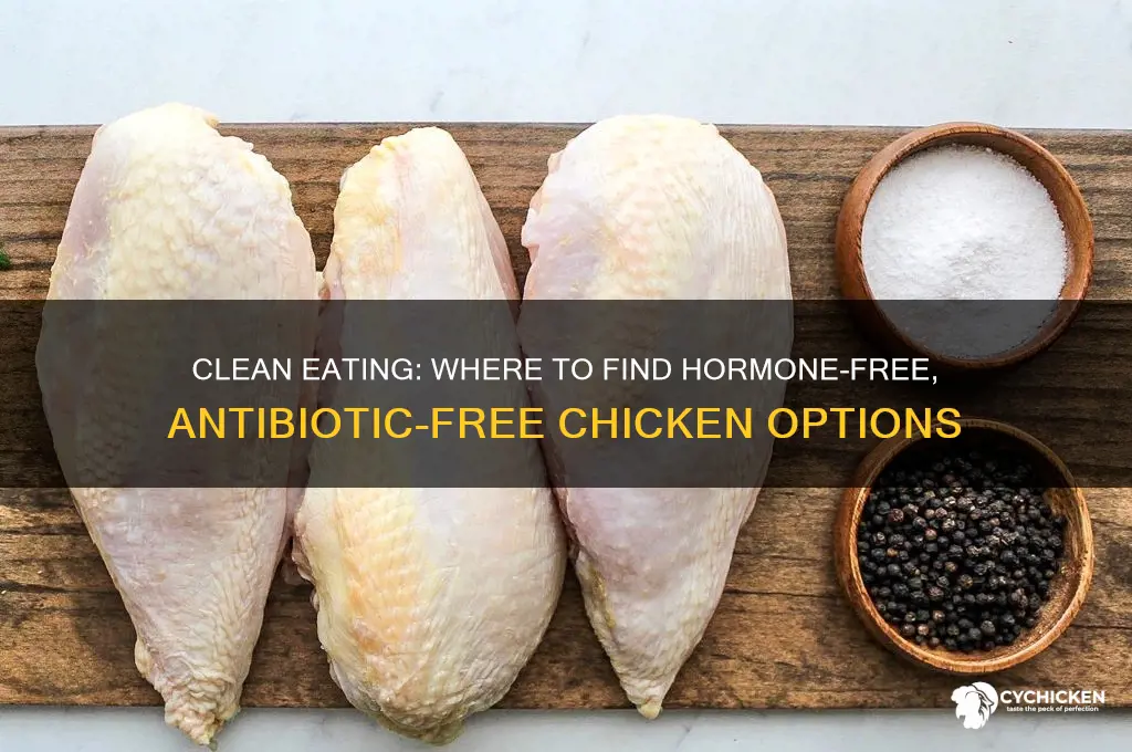 where to buy chicken without hormones and antibiotics