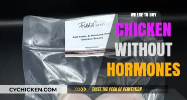 Hormone-Free Chicken: Top Places to Shop for Healthy Poultry